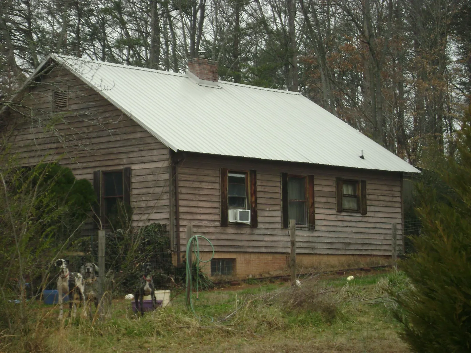 White metal roof on an old wood sided farmhouse, from a Asphalt Shingle Roof Repair job in Glenside